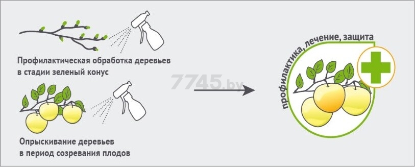 Фунгицид Геката AVGUST 3 мл (32326) - Фото 3